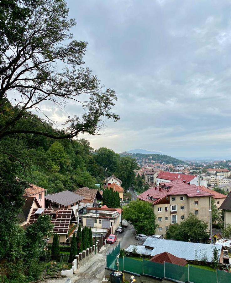 Nature Apartment - Minutes Away From The Old Town And Afi Mall Brassó Kültér fotó